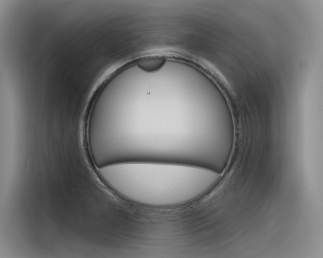 X0000116381277200912020938