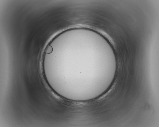 X0000116381278200912020938