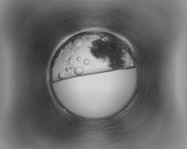 X0000116381279200912020938