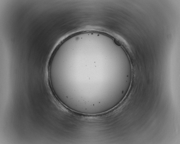 X0000116381280200912020938