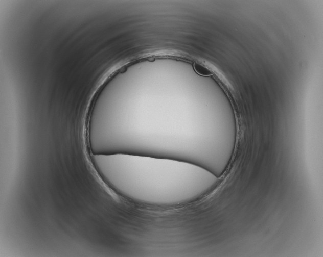 X0000116381282200912020938