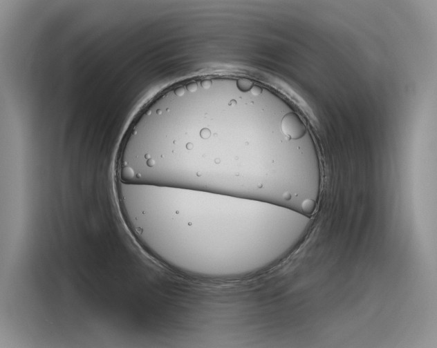 X0000116381283200912020938