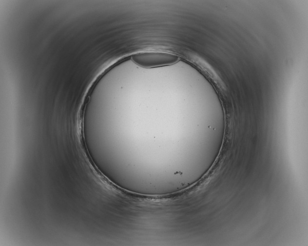 X0000116381284200912020938