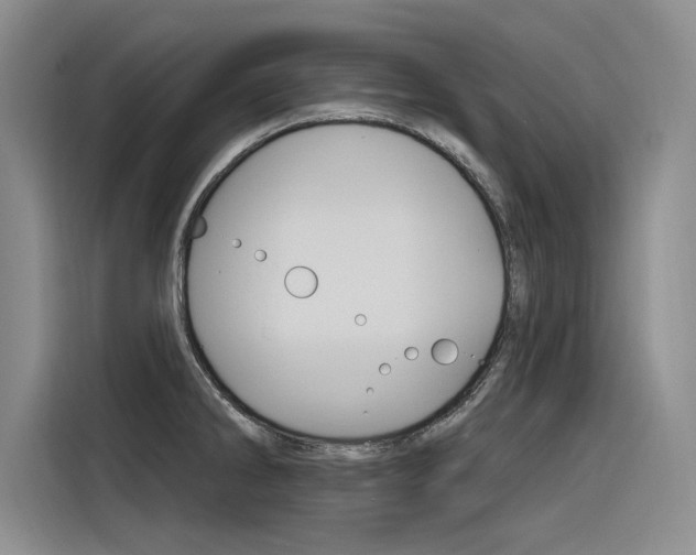 X0000116381286200912020938