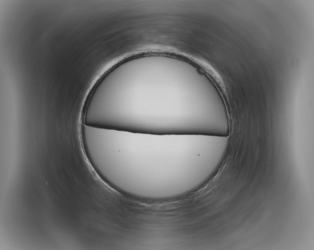 X0000116381287200912020938