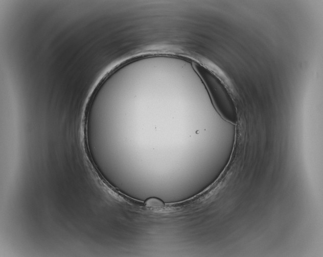 X0000116381288200912020938
