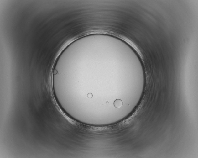 X0000116381290200912020938