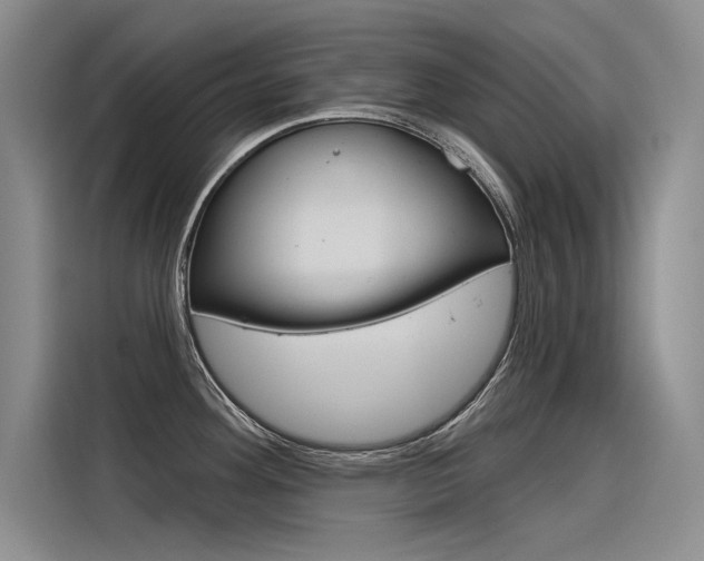 X0000116381292200912020938