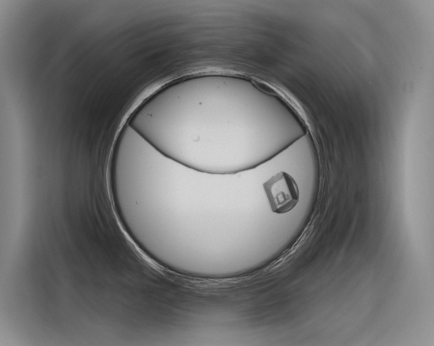X0000116381293200912020938