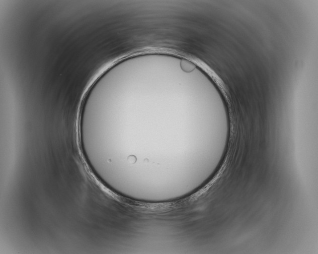 X0000116381294200912020938
