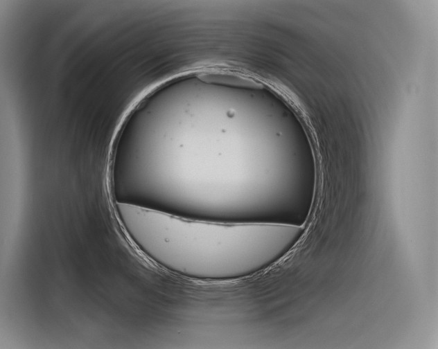 X0000116381296200912020938