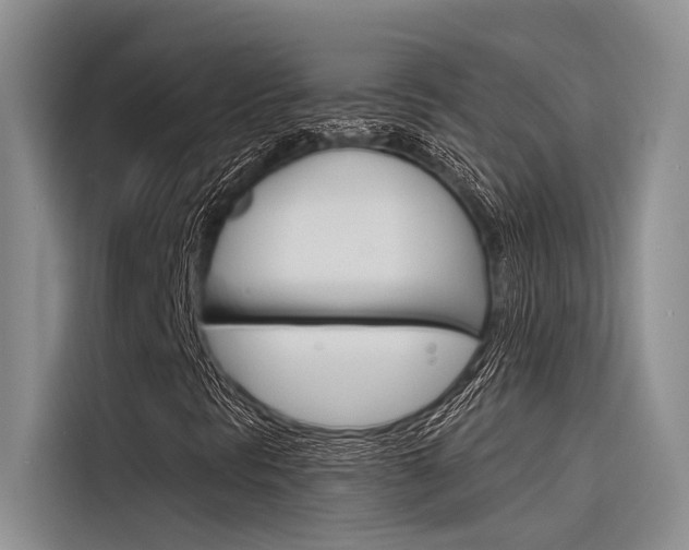 X0000116381297200912020937