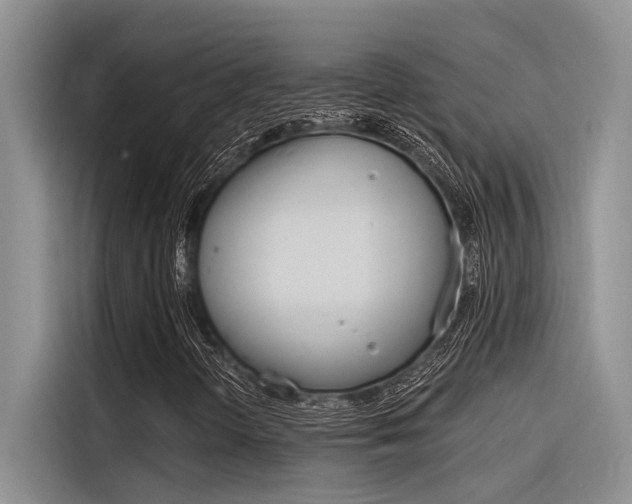 X0000116381298200912020937