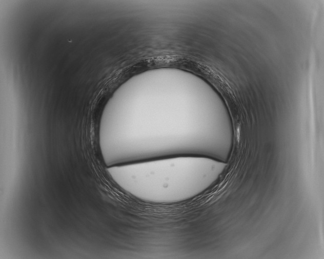 X0000116381299200912020937