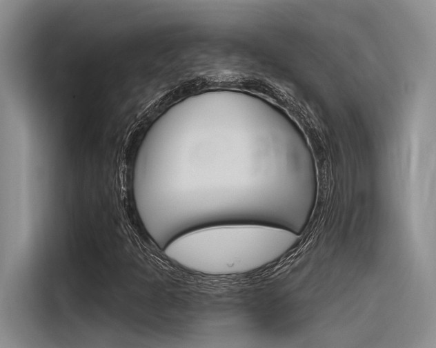 X0000116381301200912020937