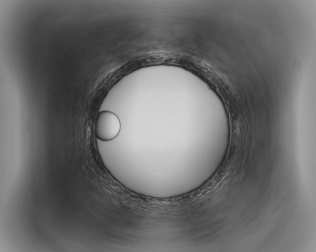 X0000116381302200912020937