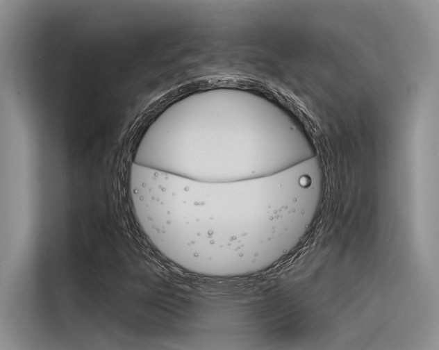 X0000116381303200912020937