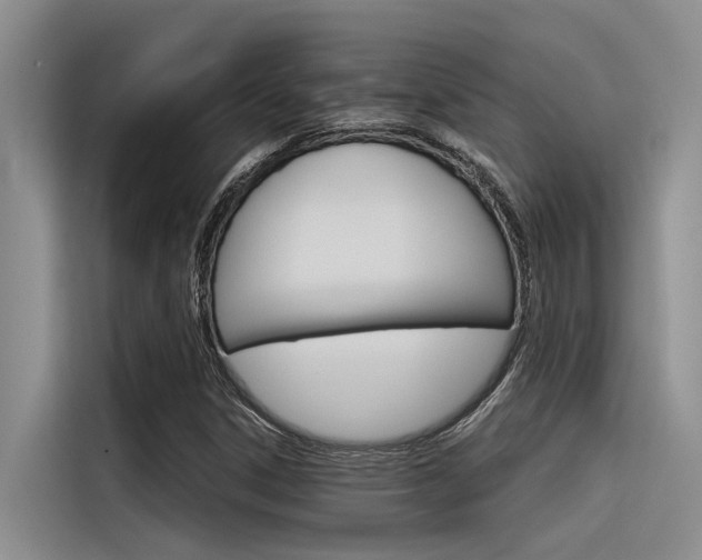 X0000116381306200912020937