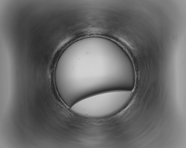X0000116381309200912020937