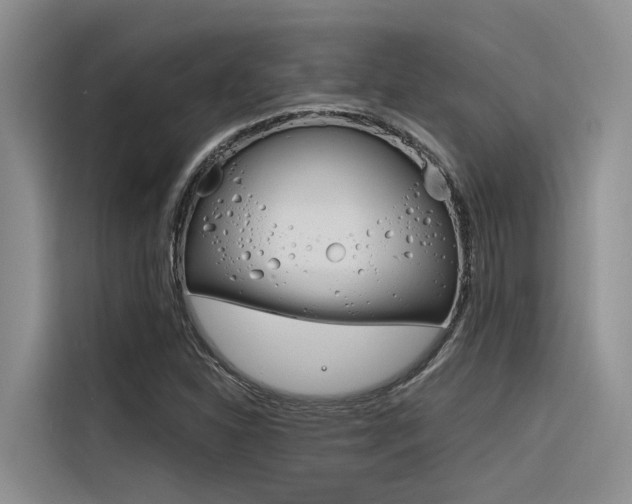 X0000116381310200912020937