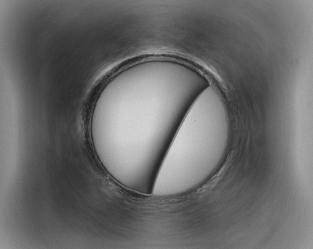 X0000116381311200912020937