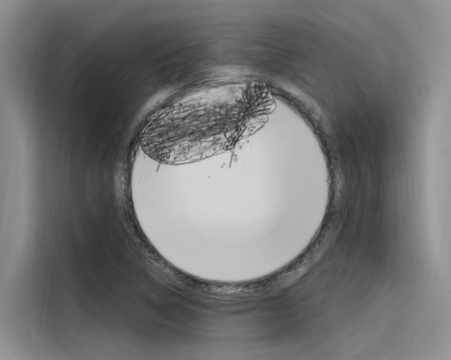 X0000116381314200912020938