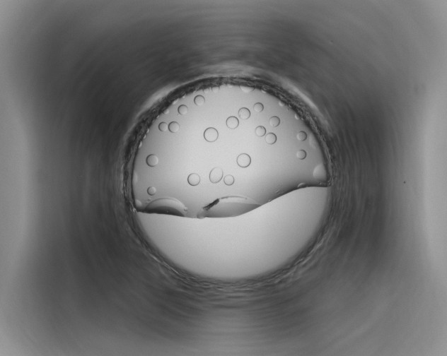 X0000116381315200912020938