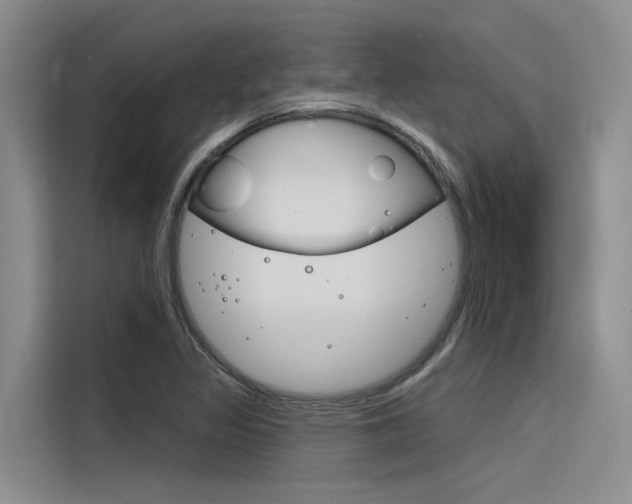 X0000116381317200912020938