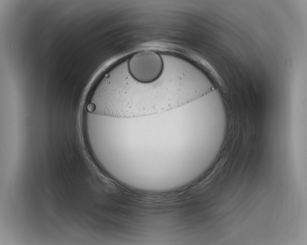 X0000116381323200912020938