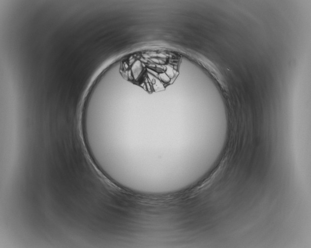 X0000116381326200912020938