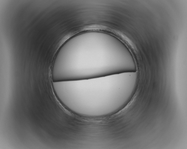 X0000116381329200912020938