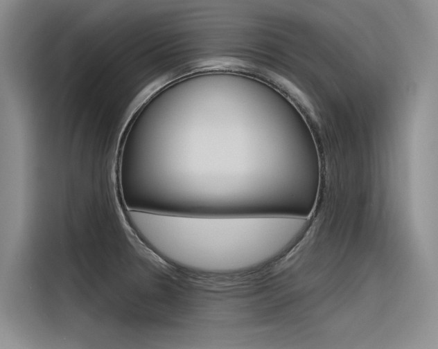 X0000116381330200912020938