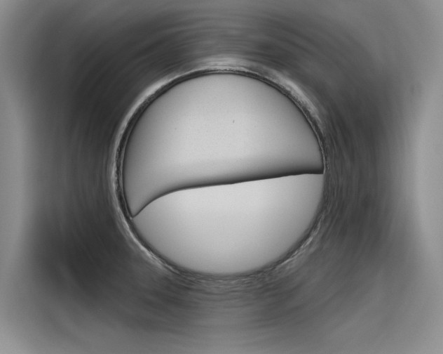 X0000116381331200912020938