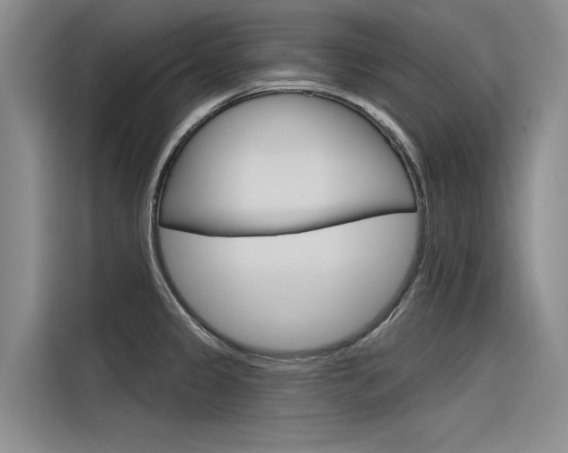 X0000116381333200912020938