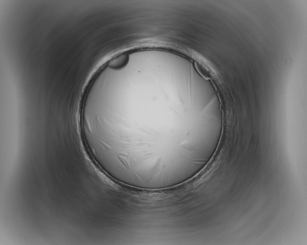 X0000116381334200912020938