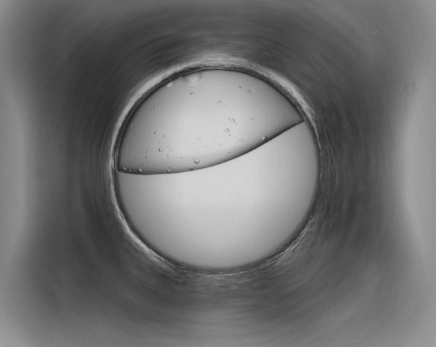 X0000116381335200912020938