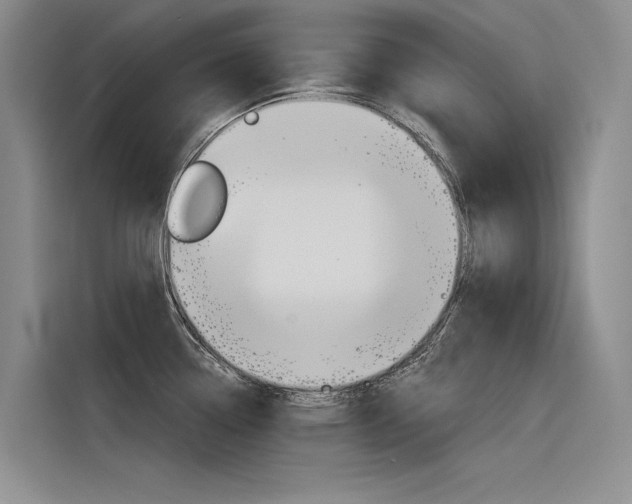 X0000116381338200912020938