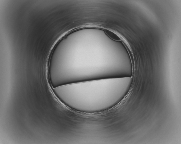 X0000116381341200912020938