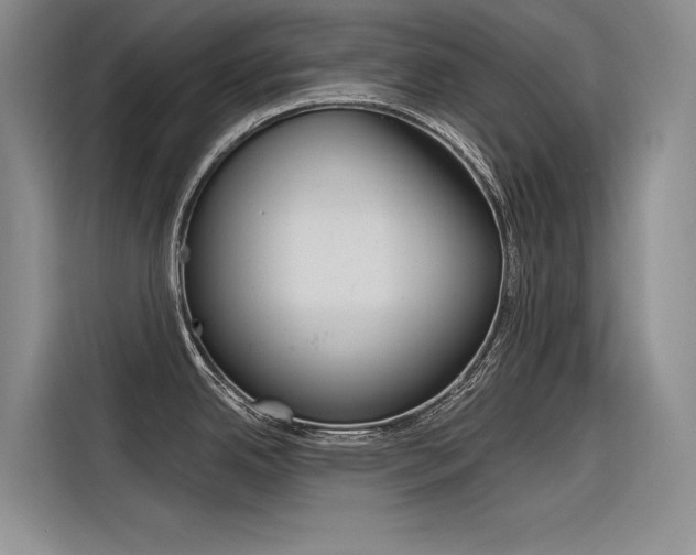 X0000116381342200912020938