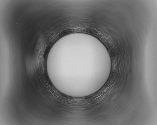 X0000116381346200912020937
