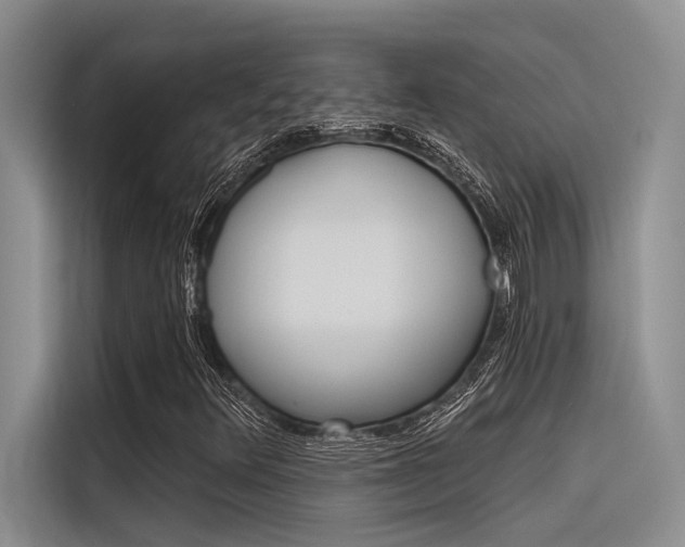 X0000116381348200912020937