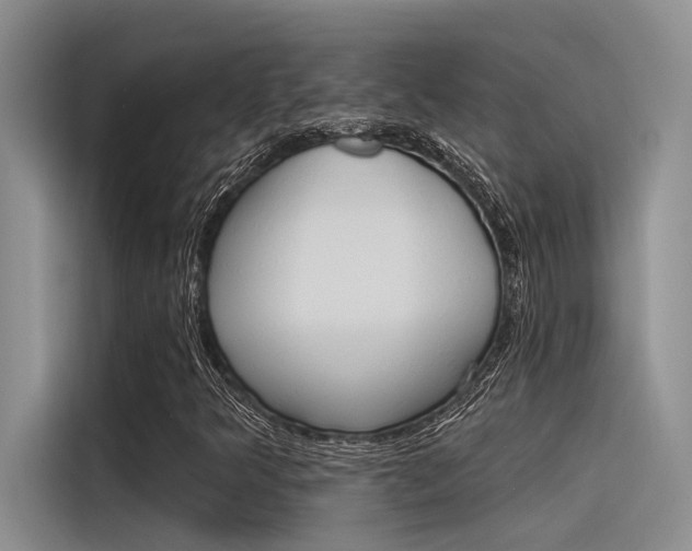 X0000116381349200912020937