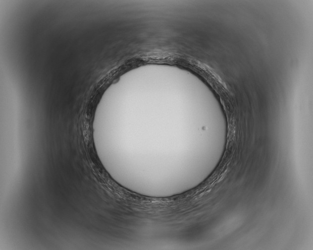X0000116381350200912020937