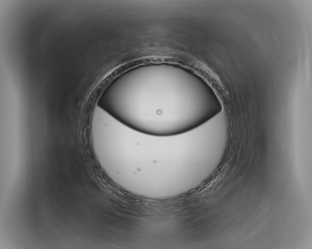 X0000116381352200912020937