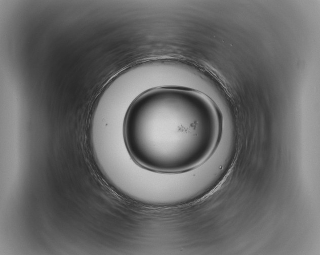 X0000116381353200912020937