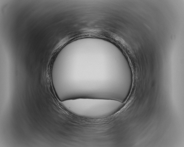 X0000116381354200912020937