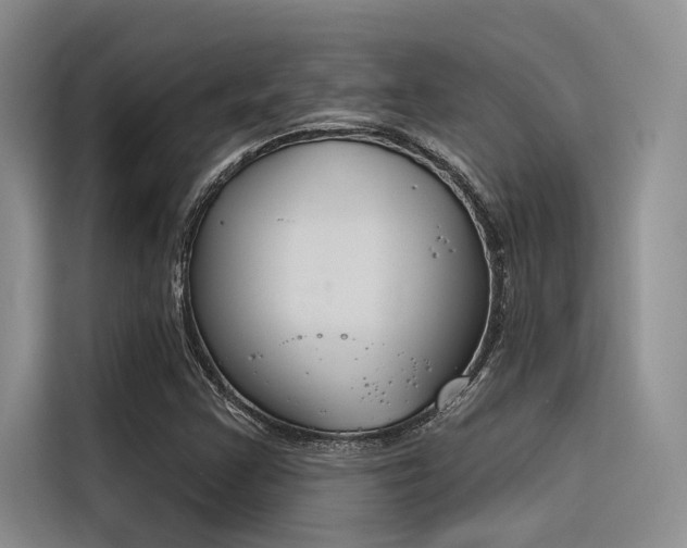 X0000116381355200912020937
