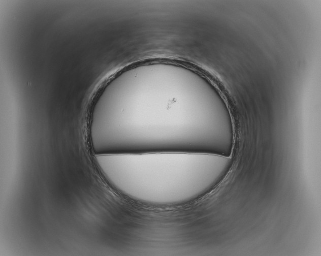 X0000116381359200912020937