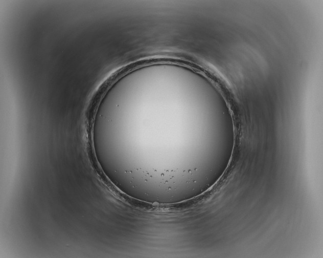 X0000116381360200912020937