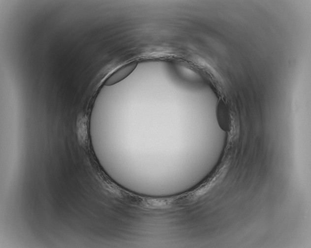 X0000116381361200912020937